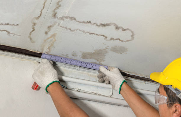 Reliable Basement Water Removal contractor in Essex Fells, NJ by Water Damage Irwin